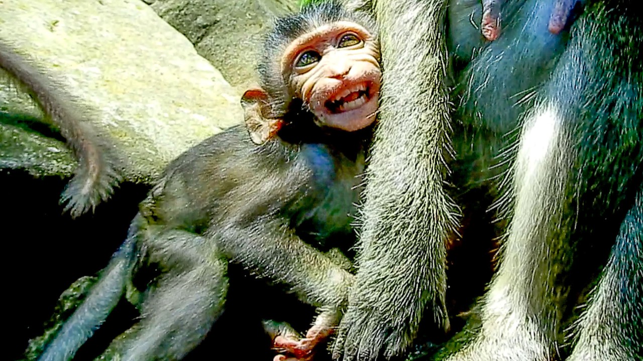 Just look milk.. Little AUBREY asked mother a chance doesn`t sm@she to baby reaching milk.