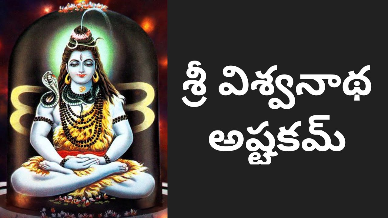 శ్రీ విశ్వనాథ అష్టకమ్॥ Vishwanathashtakam