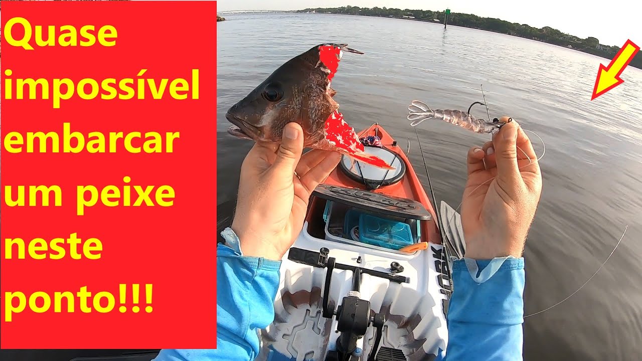 O Tubarao comeu meu Robalo!!!!! mais o troféu eu embarquei!! Caiaque Thork