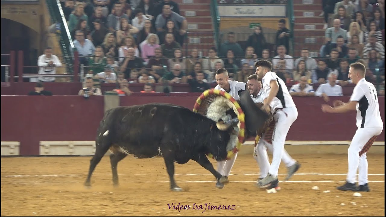 Concurso de roscaderos Zaragoza 11/10/2024 - GALLUR - HD