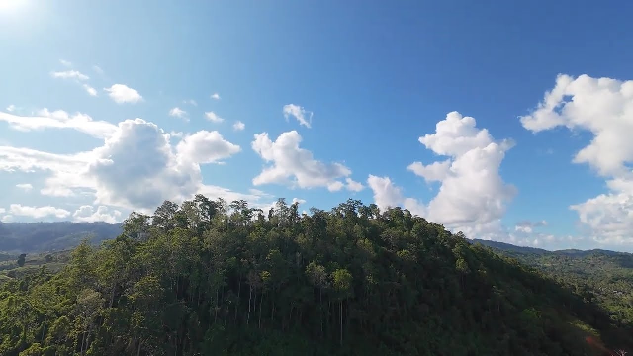 Jalan Jalan Menyusuri Hutan Kota Buol Sulteng Menggunakan Drone #KotaBuol #videoudara #videodrone4k