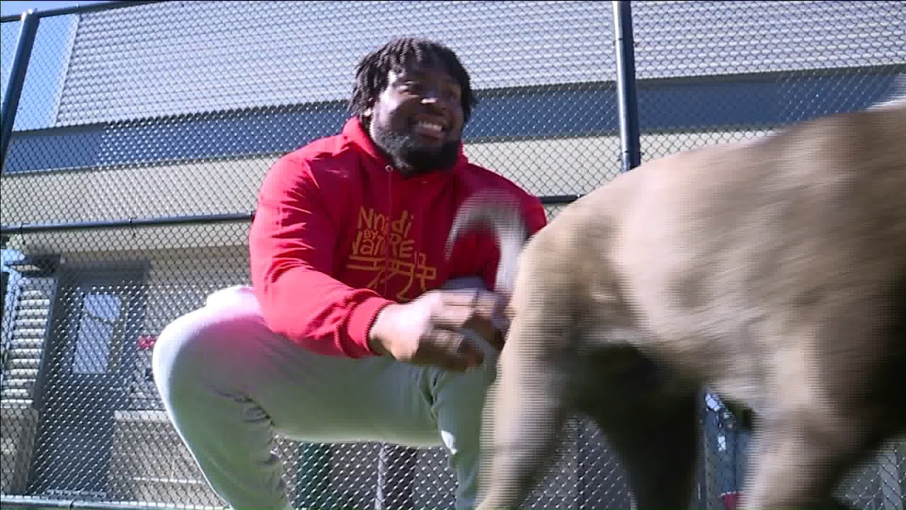 'Always Loved Dogs': Chiefs' Derrick Nnadi Sponsors 109 Dog Adoptions After Super Bowl Win
