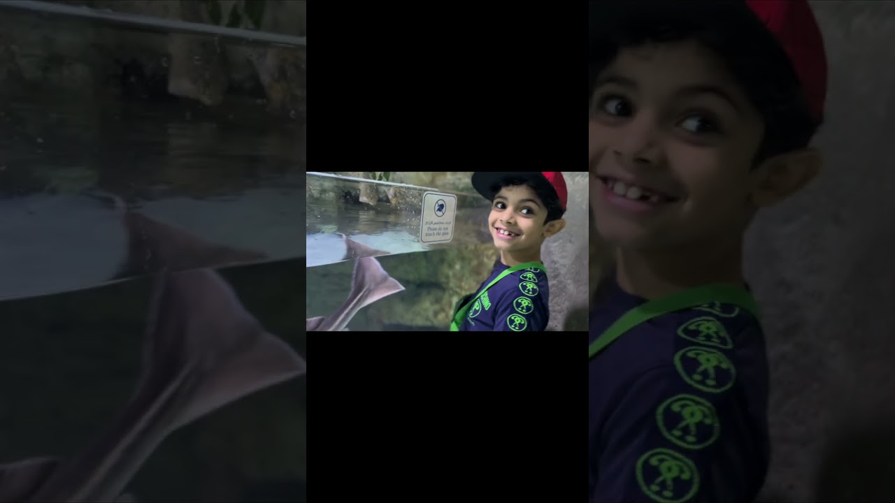 Young Mind Unlocks Deep Sea Wonders at Mega Aquarium