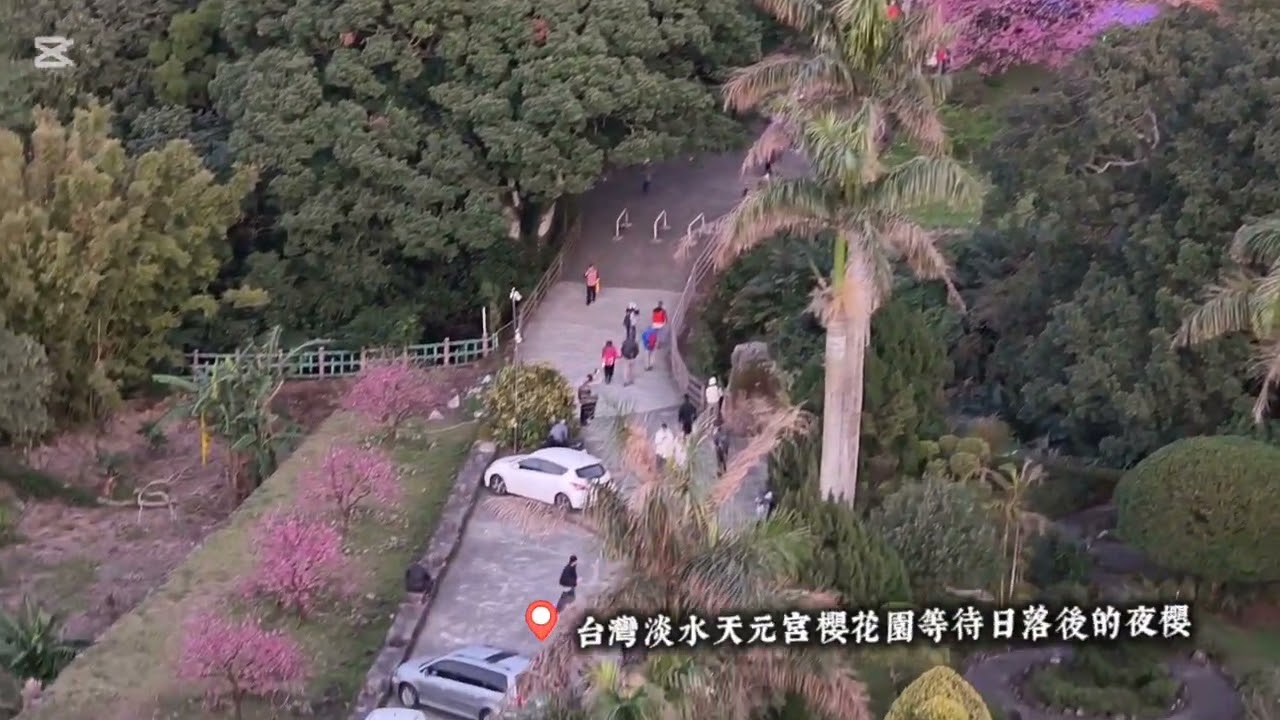 台灣美景之「淡水天元宮櫻花園等待日落後的夜櫻」悠雅古典樂曲欣賞