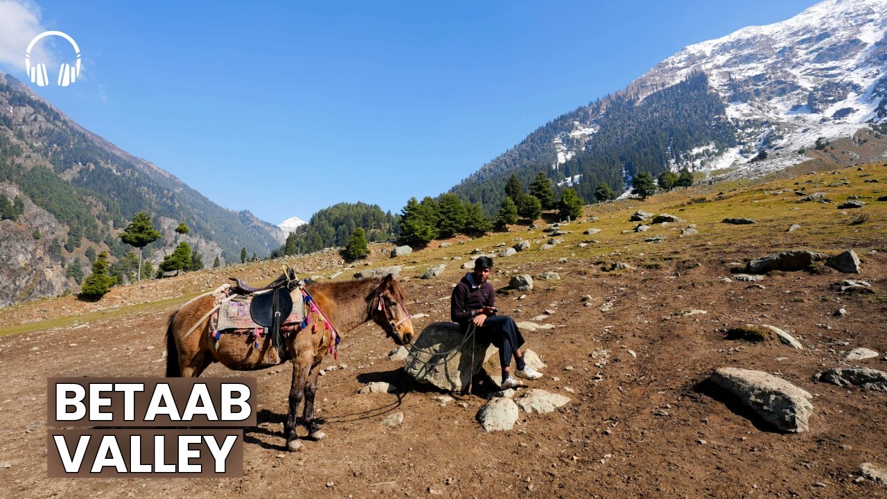 Relaxing Betaab Valley Pony Ride 🏔️ Kashmir 🇮🇳 | Peaceful Mountain Views & Binaural Sounds | 4K