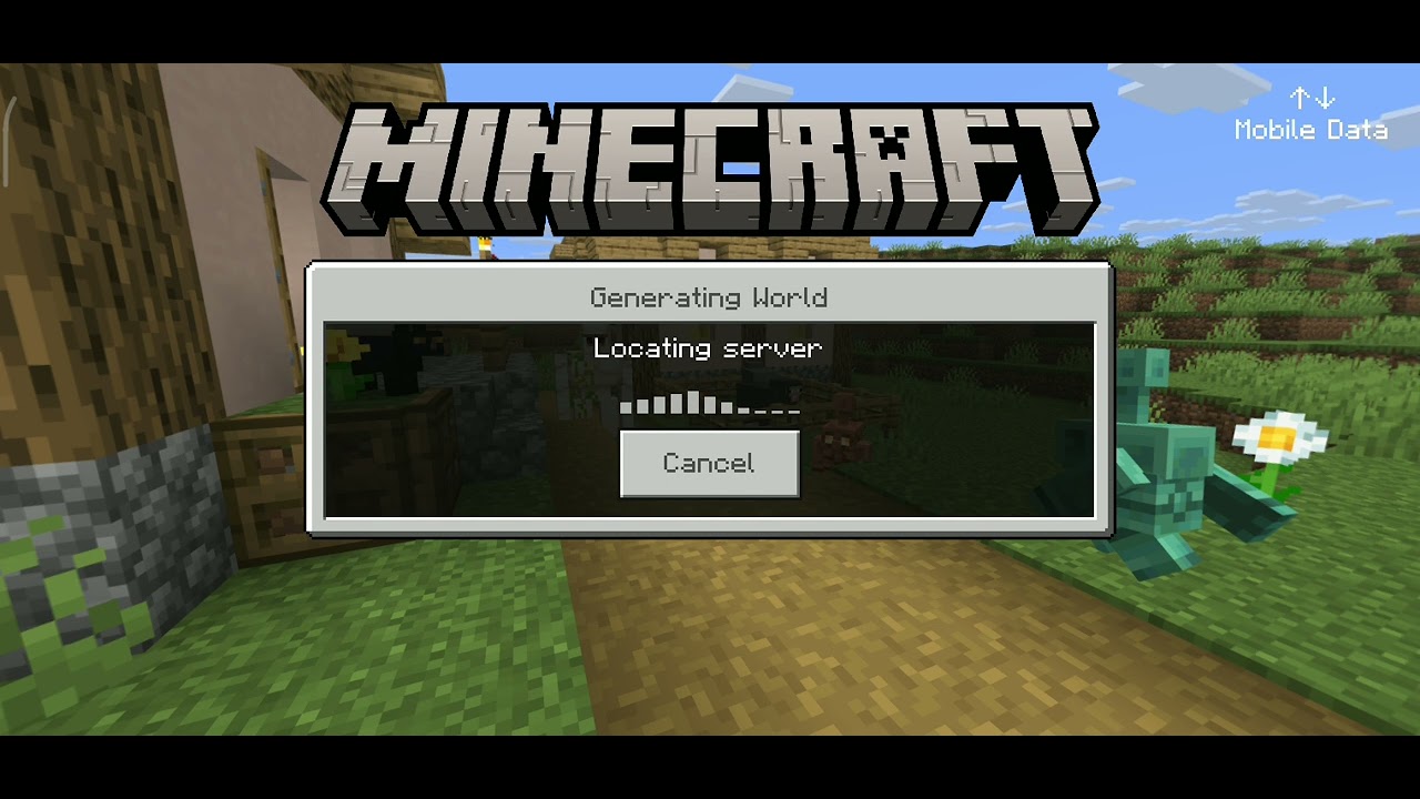 I am playing mc fleet with my sister its pvp practice