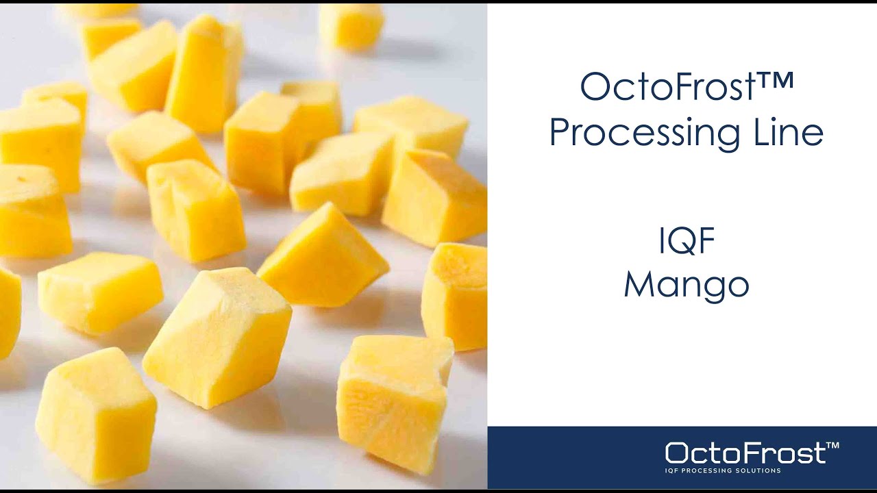 OctoFrost IQF Processing Line - Mango | Food Processing Machinery
