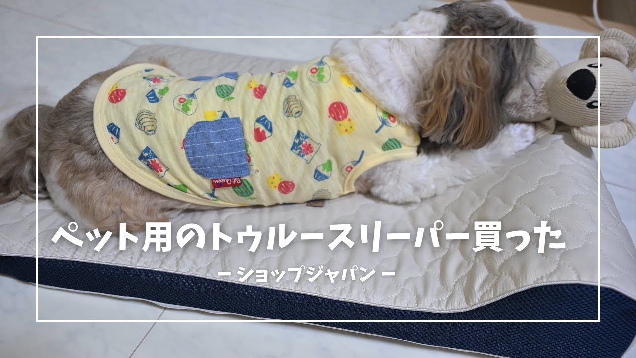 愛犬・愛猫にもワンランク上の睡眠を！ペットのトゥルースリーパー買ってみた！