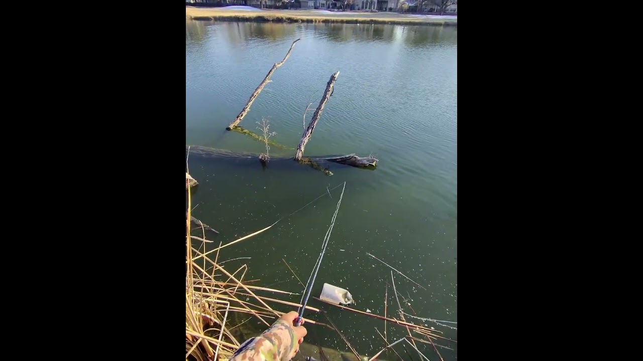 Bass Fishing in the cold....Will I catch one?????