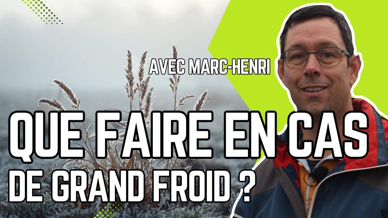 PROTÉGER son POTAGER en cas de GRAND FROID : les BONS GESTES à ADOPTER