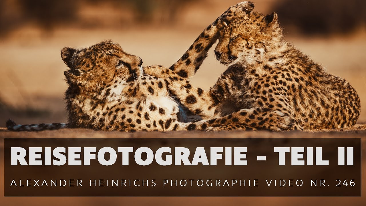 Reisefotografie Teil II (Tiere) - ah-photo Video 246
