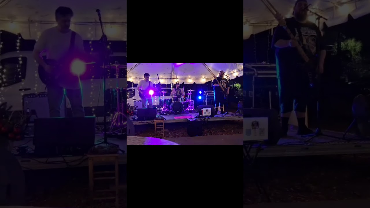 Live cover of Rock Show- Blink-182 