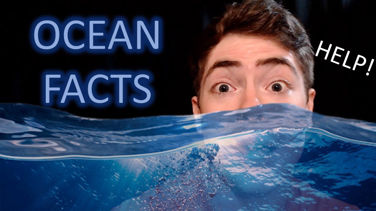 [ASMR] Facts About Our Ocean 🌊🌊🌊