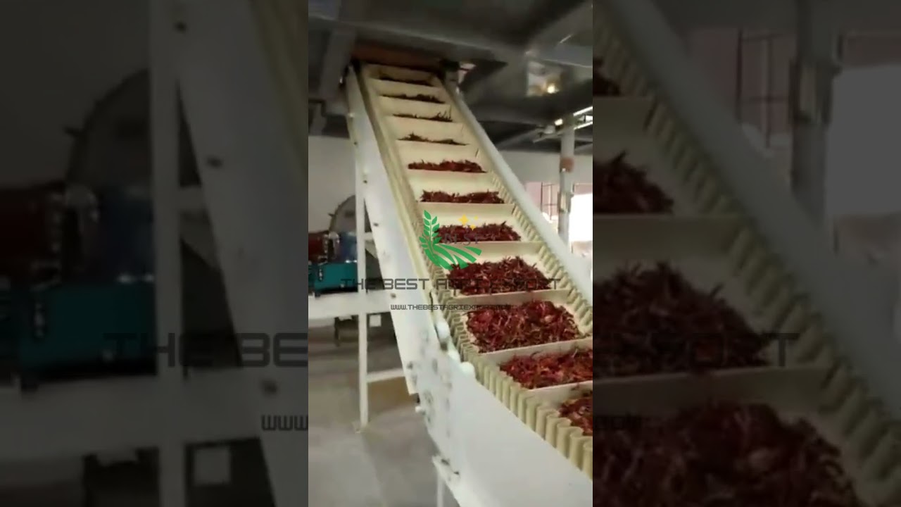 High-Quality Red Chilli Powder: Process & Export by India's Leading Exporter-THE BEST AGRI EXPORT