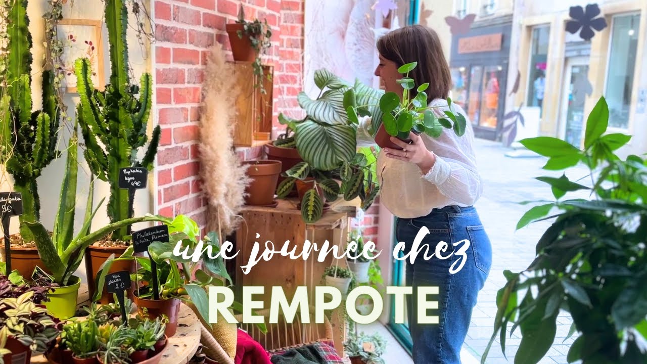 Dans les coulisses de Rempote, la jardinerie urbaine de Metz