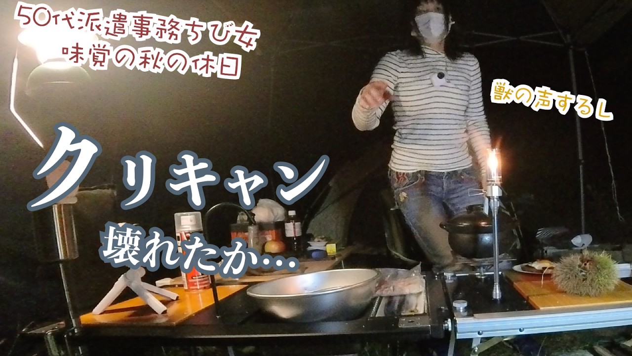 折れた…獣の声する秋の味覚三昧〜大きな栗の木の下キャンプする50代派遣事務チビ女の休日はこんなもん〜