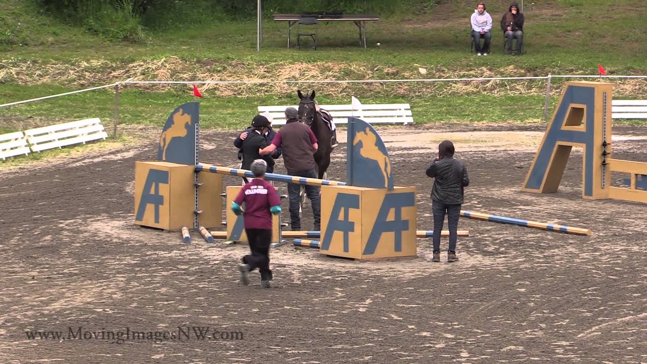 Move - Horse Bloopers 2014