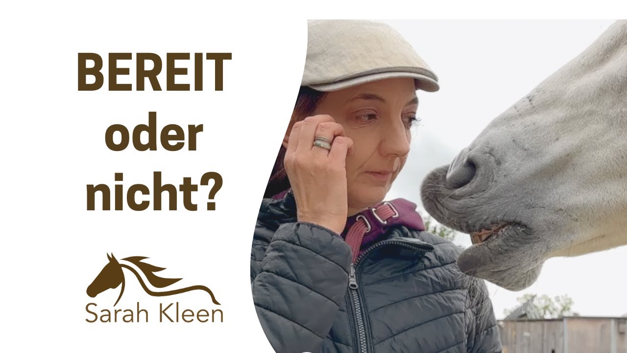 Gestresst oder bereit? So liest du dein Pferd | Sarah Kleen