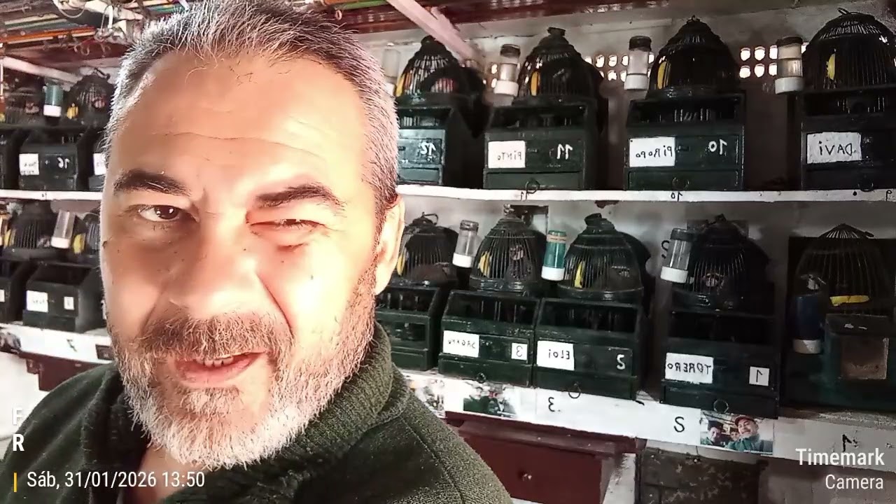 31 de enero de 2026