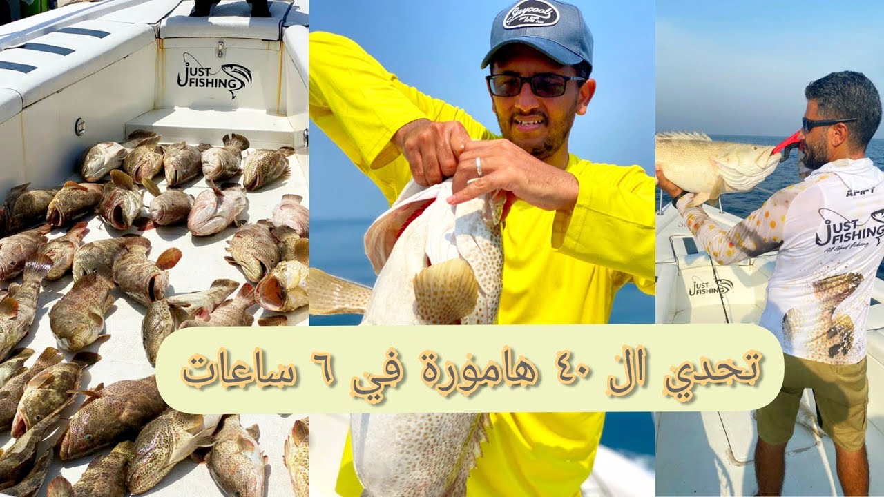 تحدي ال ٤٠ هامورة | Goupers challenge
