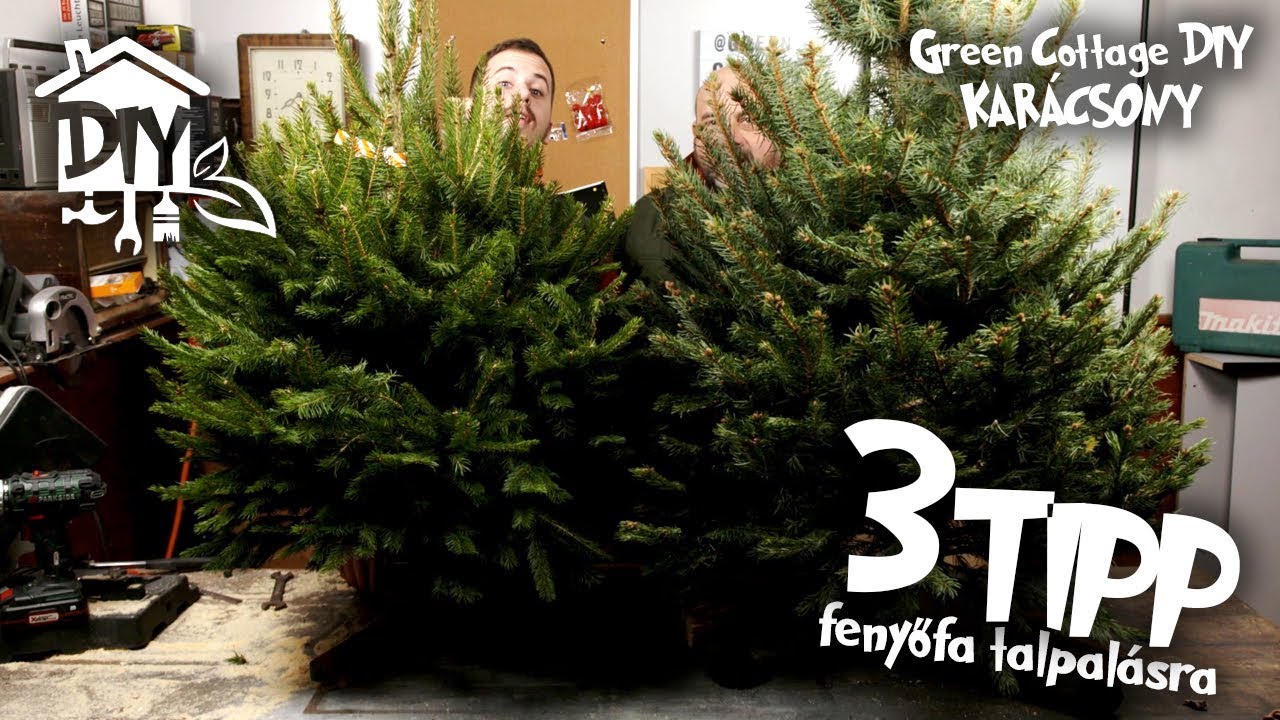 3 TUTI TIPP fenyőfa talpal&aacute;sra gyorsan, egyszerűen! | Green Cottage DIY