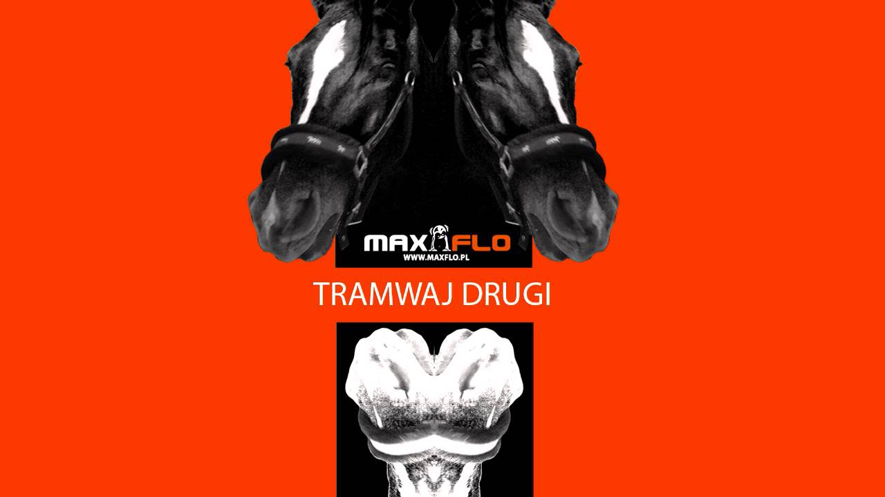 Flaszki i Szlugi - 08 Tramwaj drugi (MaxFloLab)
