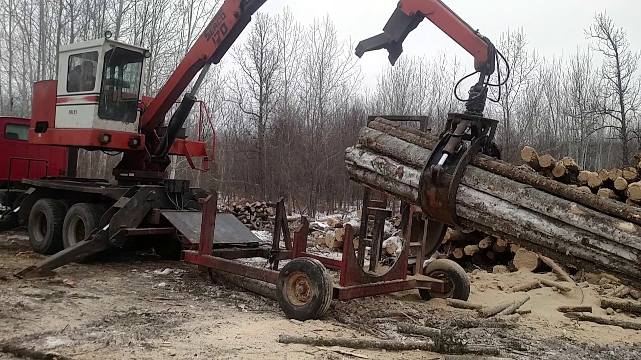 Our 77 year old Dad whacking and stacking!!