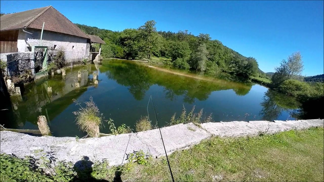 Pêche à la mouche Jura l'Ain la Saine la Lemme 2015