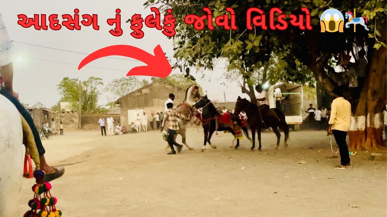 આદસંગ નું ફૂલેકું જોવો વીડિયો ? 😱🎠 devdat sikandar raja karvat 