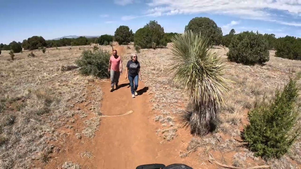 Dragonfly Trail