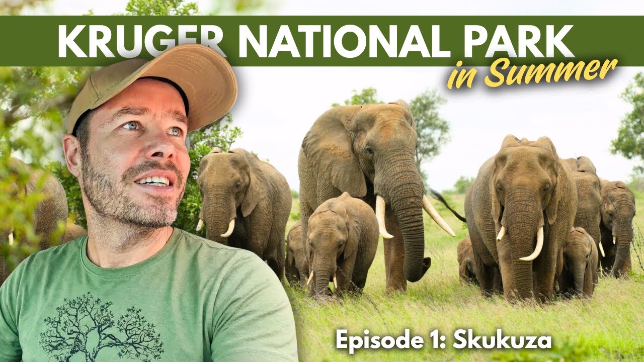 Is The Kruger National Park Worth Visiting in Summer? Let’s Find Out
