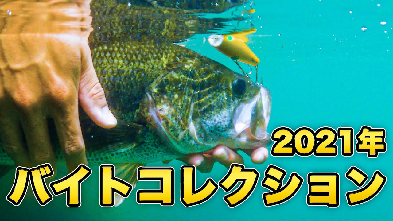【Chest114】2021年トップウォーターバイトコレクション