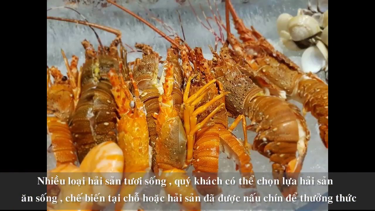 TK Review - Nhà Hàng Buffet Hải Sản Ở Quận 5 - Central An Đông