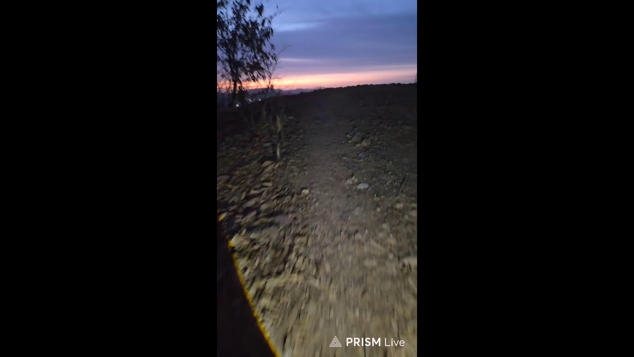Live 953일차 -8&deg;아침맨발산행 in Korea!