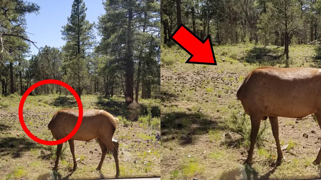 7 Videos que muestran FALLOS en la REALIDAD / Parte 11