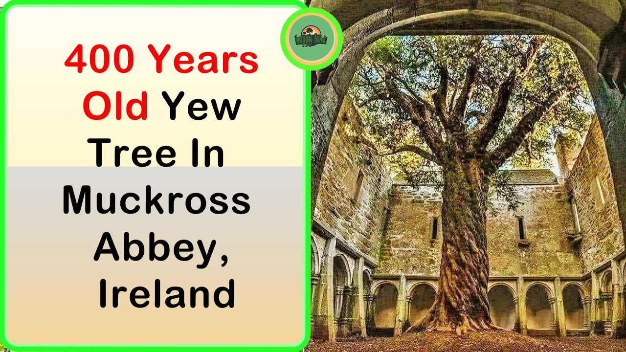 Eerie Photos of Places Time Seems to Have Forgotten