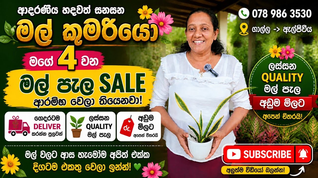 ඔන්න යාලුවනේ  මගේ 4 වන flower salle එක ! ආදරණීය හදවත් සනසන මල් කුමරියෝ 🌻🌼🪴 #flowers #saller 