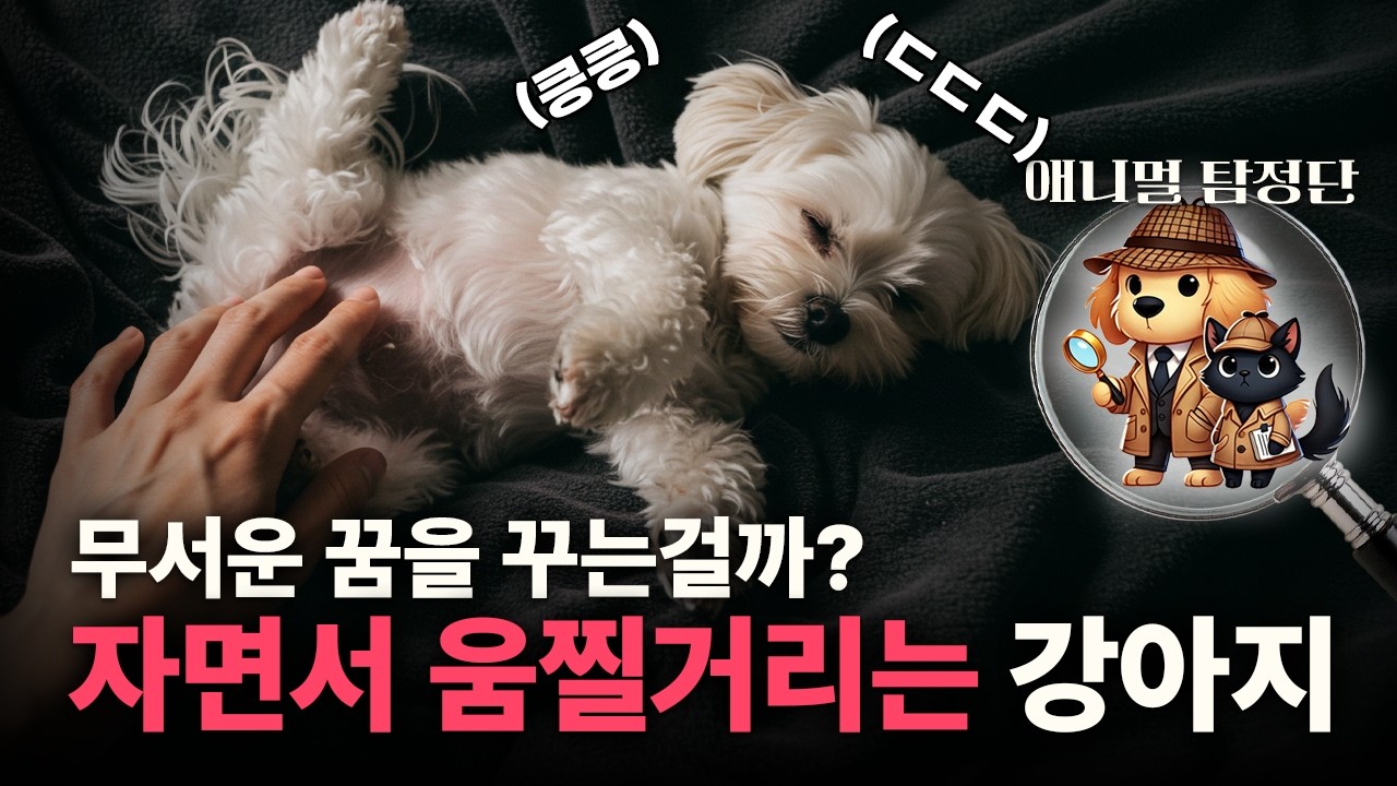 💤무서운 꿈을 꾸는걸까?...자면서 움찔거리는 강아지, 단순한 잠꼬대?  [🔍애니멀탐정단]