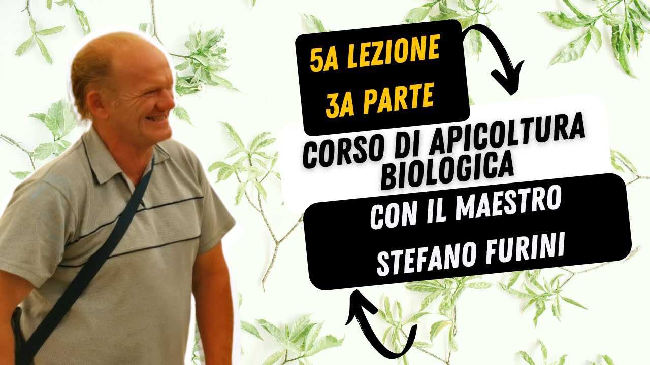 16 - CORSO DI APICOLTURA BIOLOGICA - Asphodel Honey - con il maestro Stefano Furini Lezione 5 Parte3