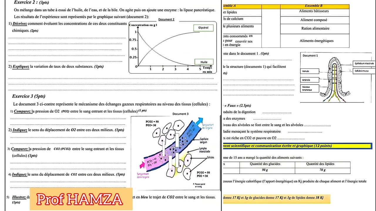 Examen local en Sciences de la Vie et de la Terre SVT 3AC | امتحان محلي في مادة علوم الحياة والأرض 