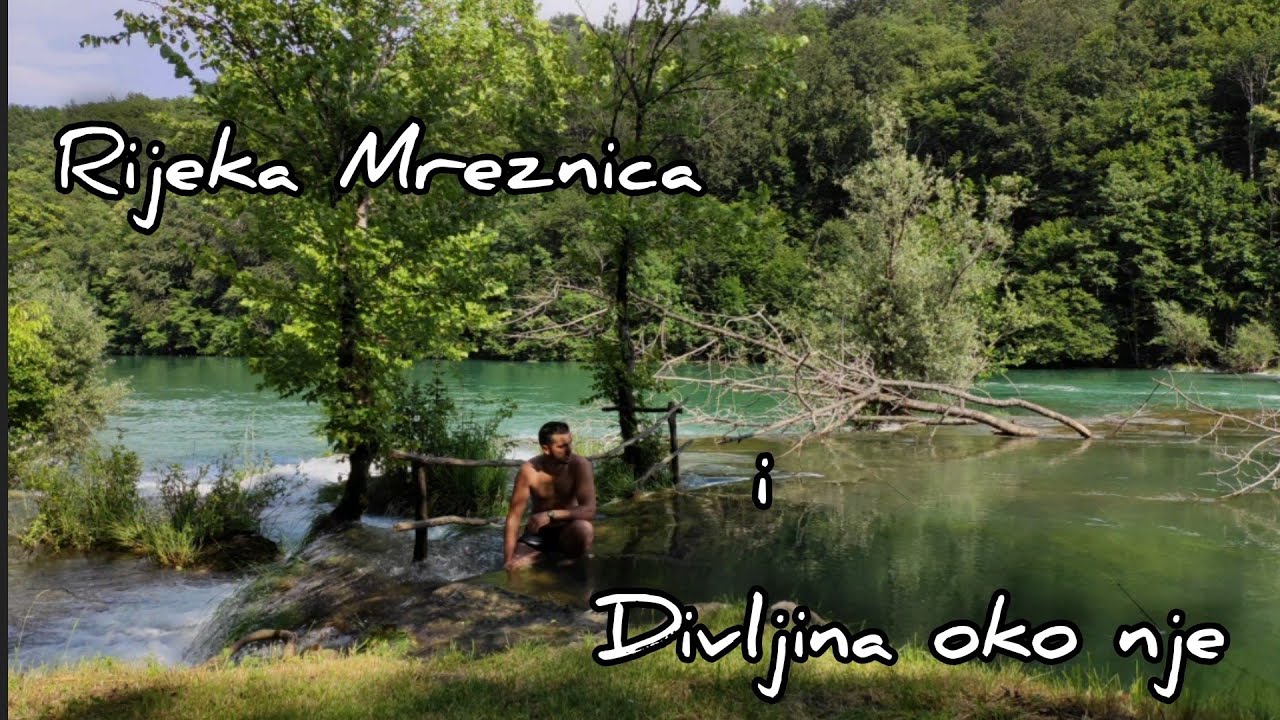 Mreznica - Tragovima zivotinja (Zmije, lisice. . .)