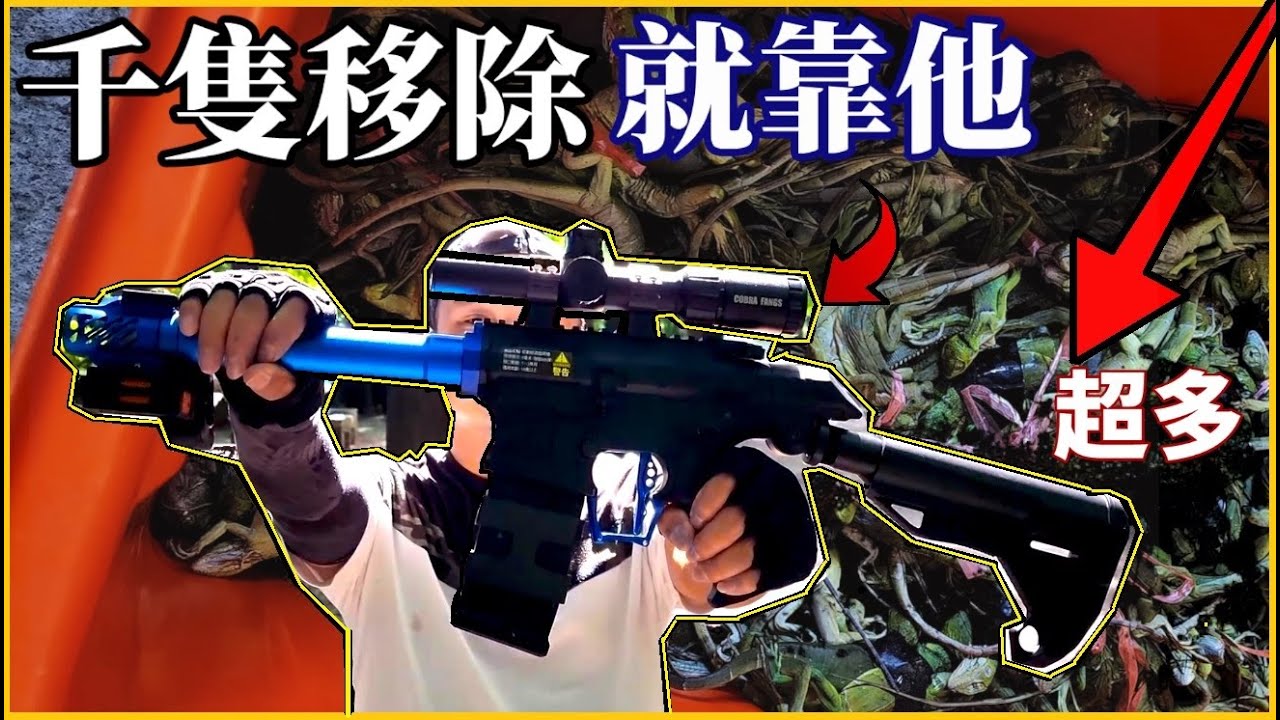 爆桶！容器竟被幼體綠鬣蜥裝滿！團隊僅靠「電槍」就移除近千隻！沒有不能用的工具，只有最合適的方法！TRG用臉探險 | EP84