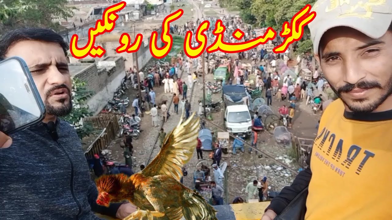 Aj Main Sialkot Murga Mandi chala gya 😁 | Logon sath Dilchusp baten 🤣😂