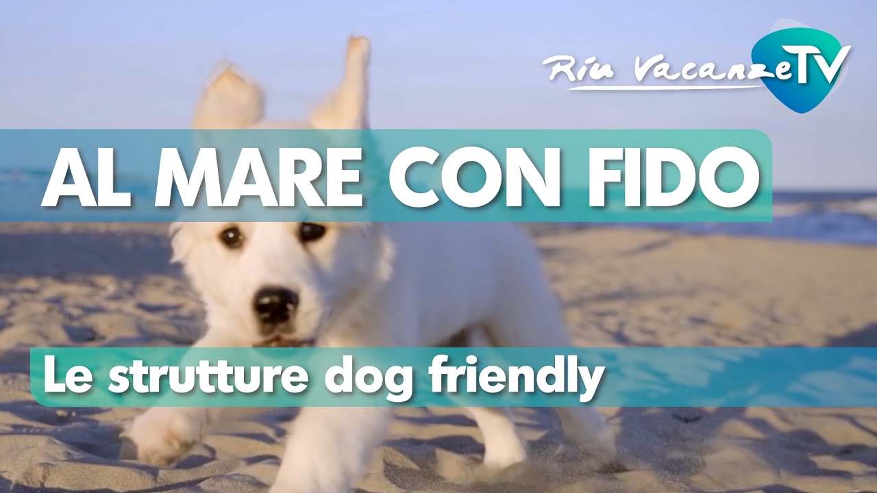 Dove andare in Vacanza al mare con il cane