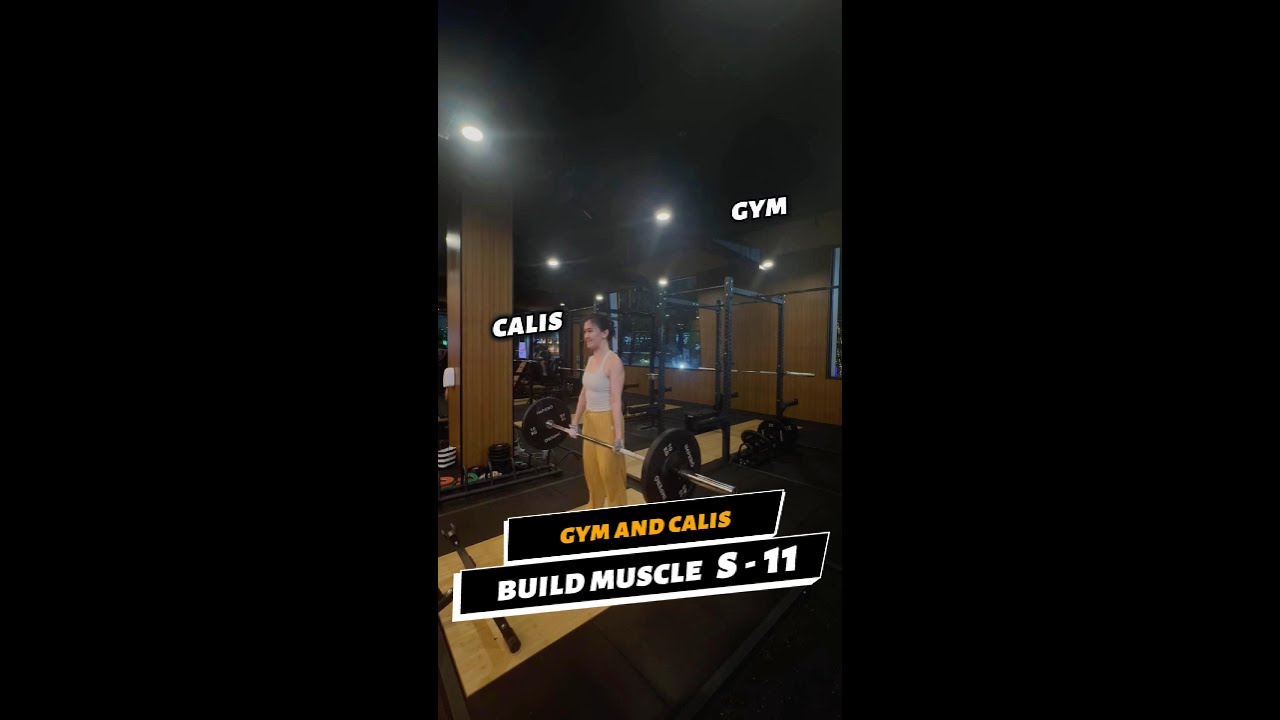 Build Muscle Session 11 | Full Upper Body Gym & Calisthenics