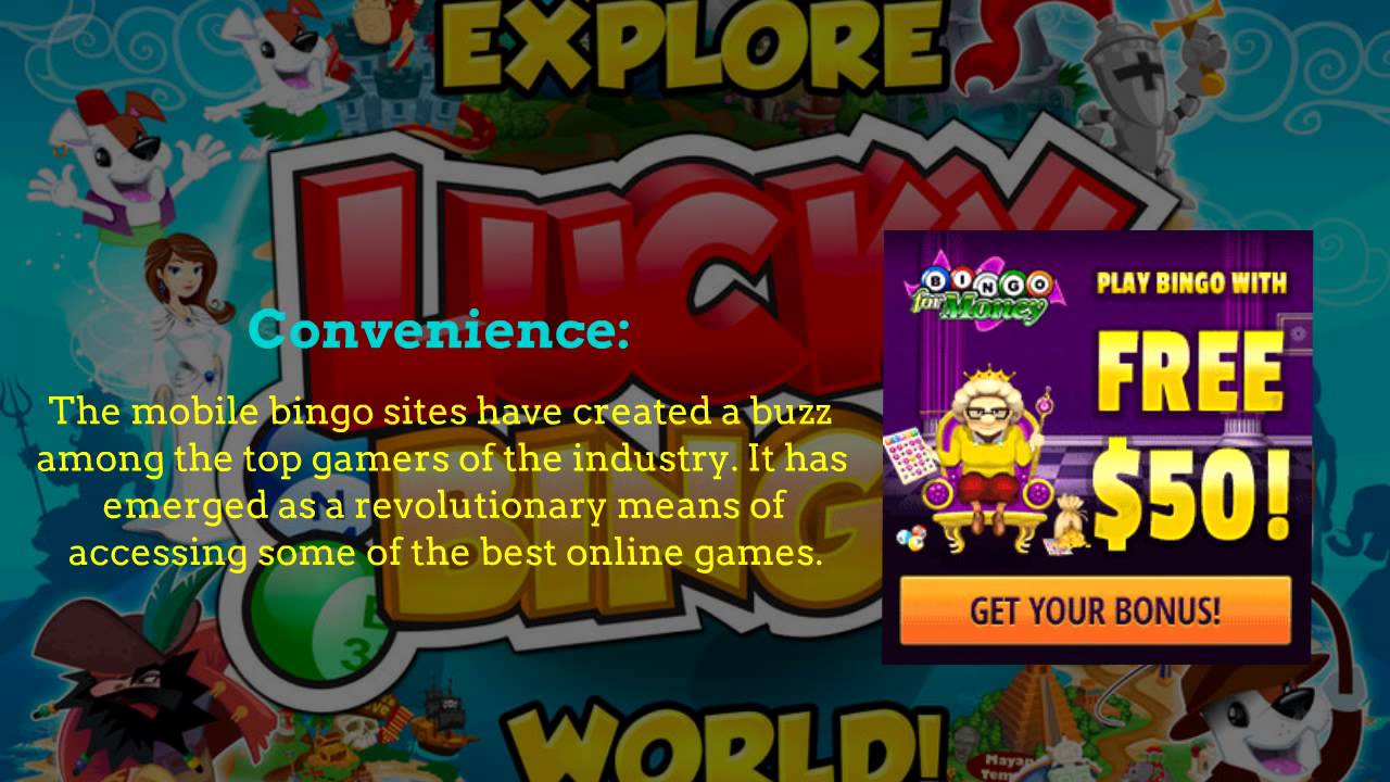 mobile bingo sites: Things to consider before choosing the best mobile bingo sites