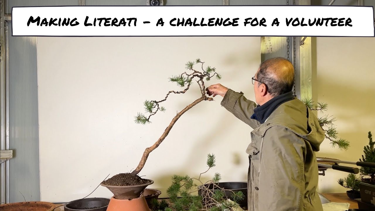 Making Literati - Test for a Volunteer at Herons