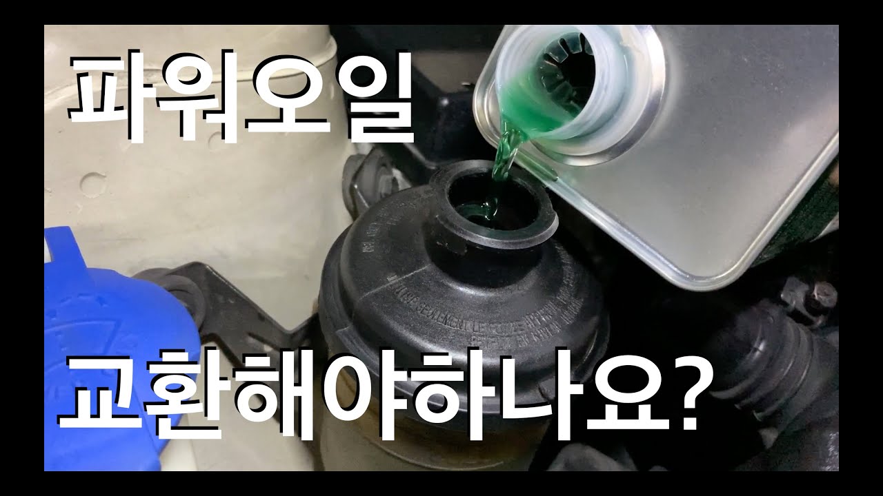젠쿱 파워오일 교체! 근데 꼭 해야하나요? / 자가정비