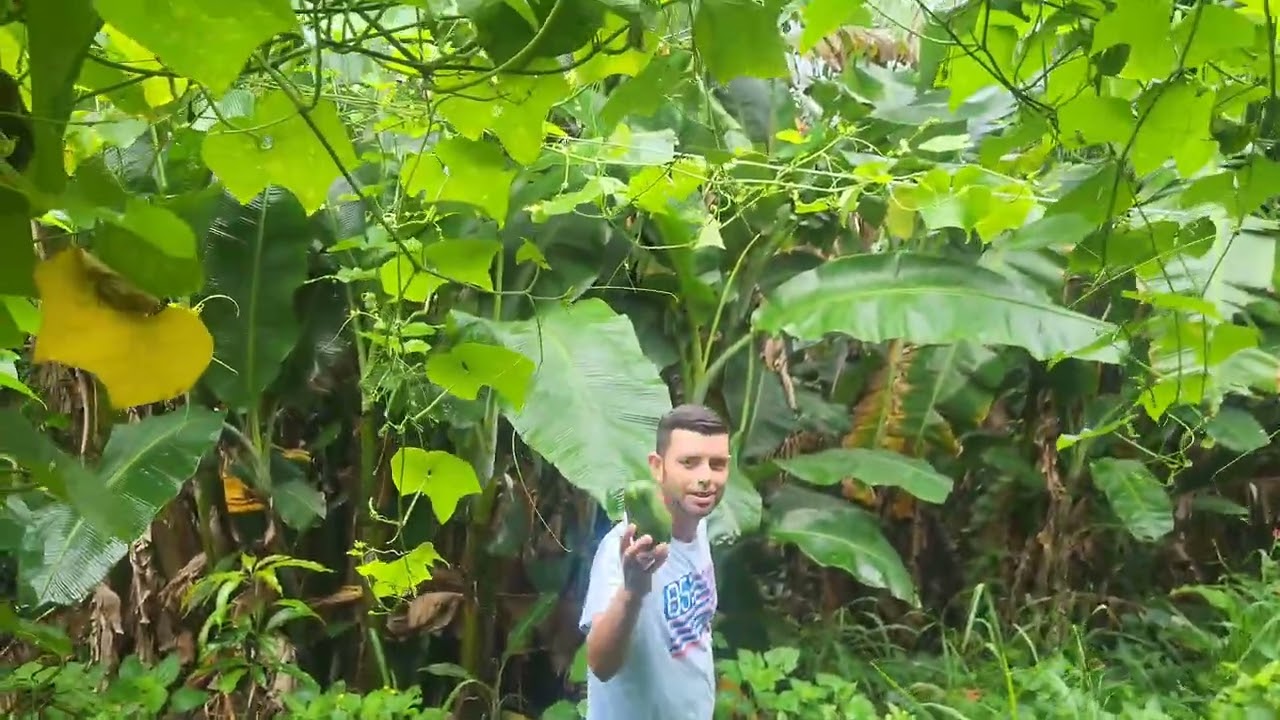 La tierra siendo generosa si la sabemos aprobechar