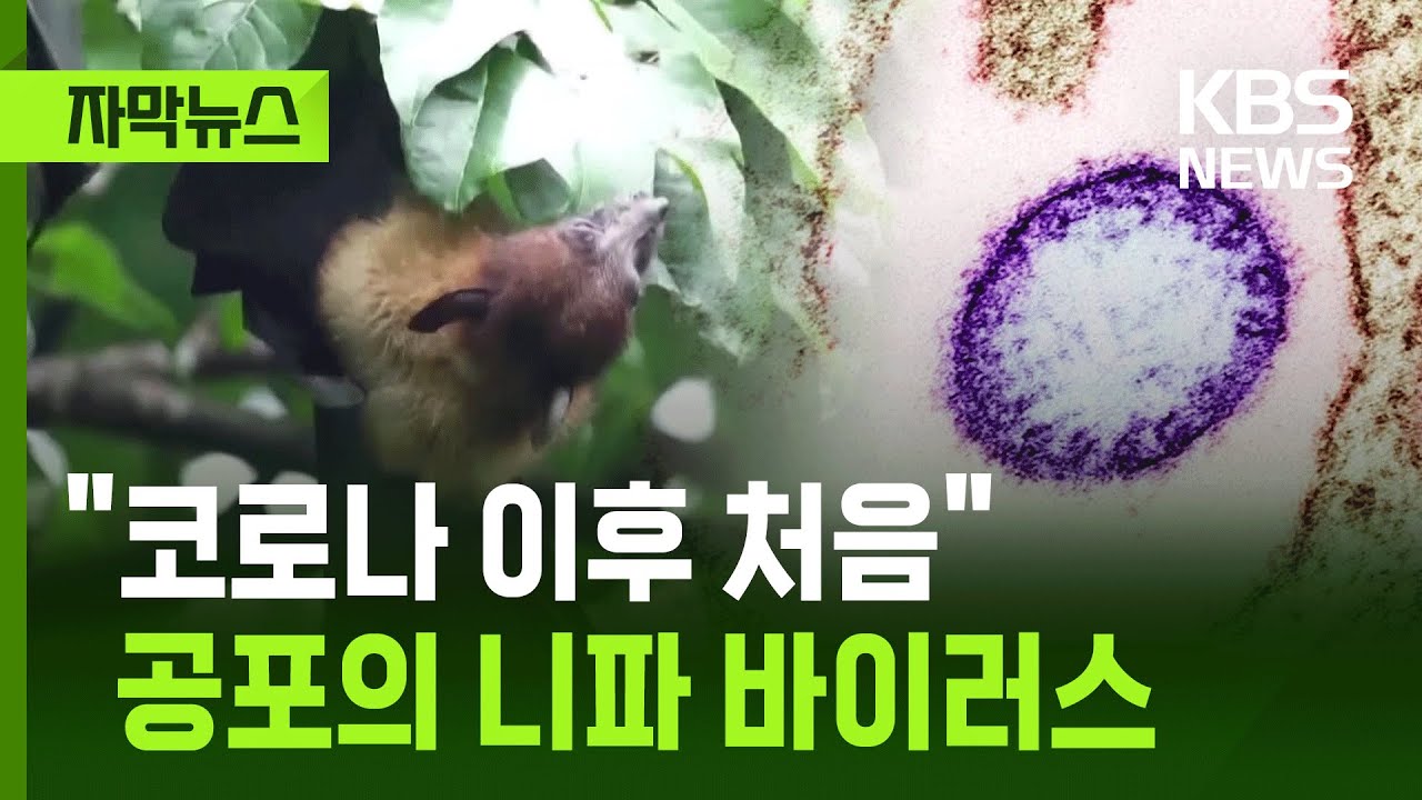 [자막뉴스] 